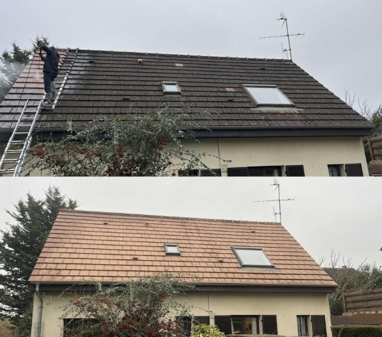 anti mousse toiture