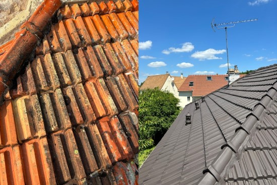 nettoyage et peinture de toit